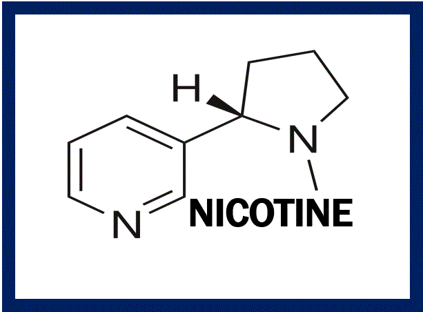 Nicotine Absorption and Electronic Cigarettes - Market Business News