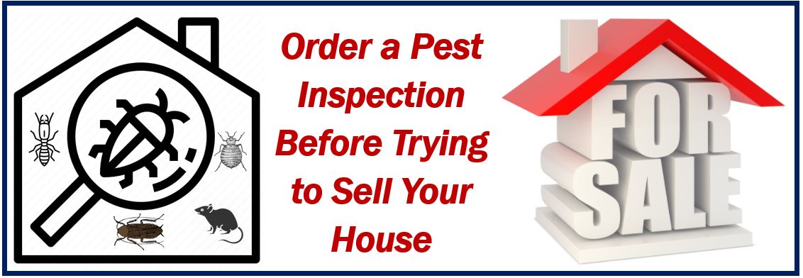 Pest inspection before putting your house on the market - 34999