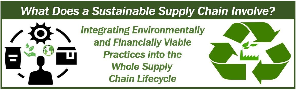 Sustainable supply chain -m 98765432100