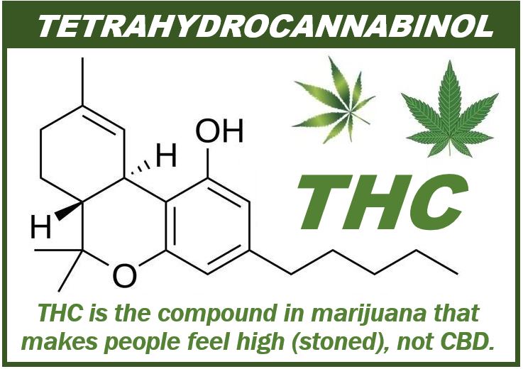THC - image for article - 498398938