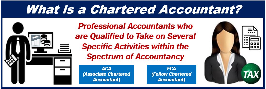 What Is A Chartered Accountant Definition And Examples