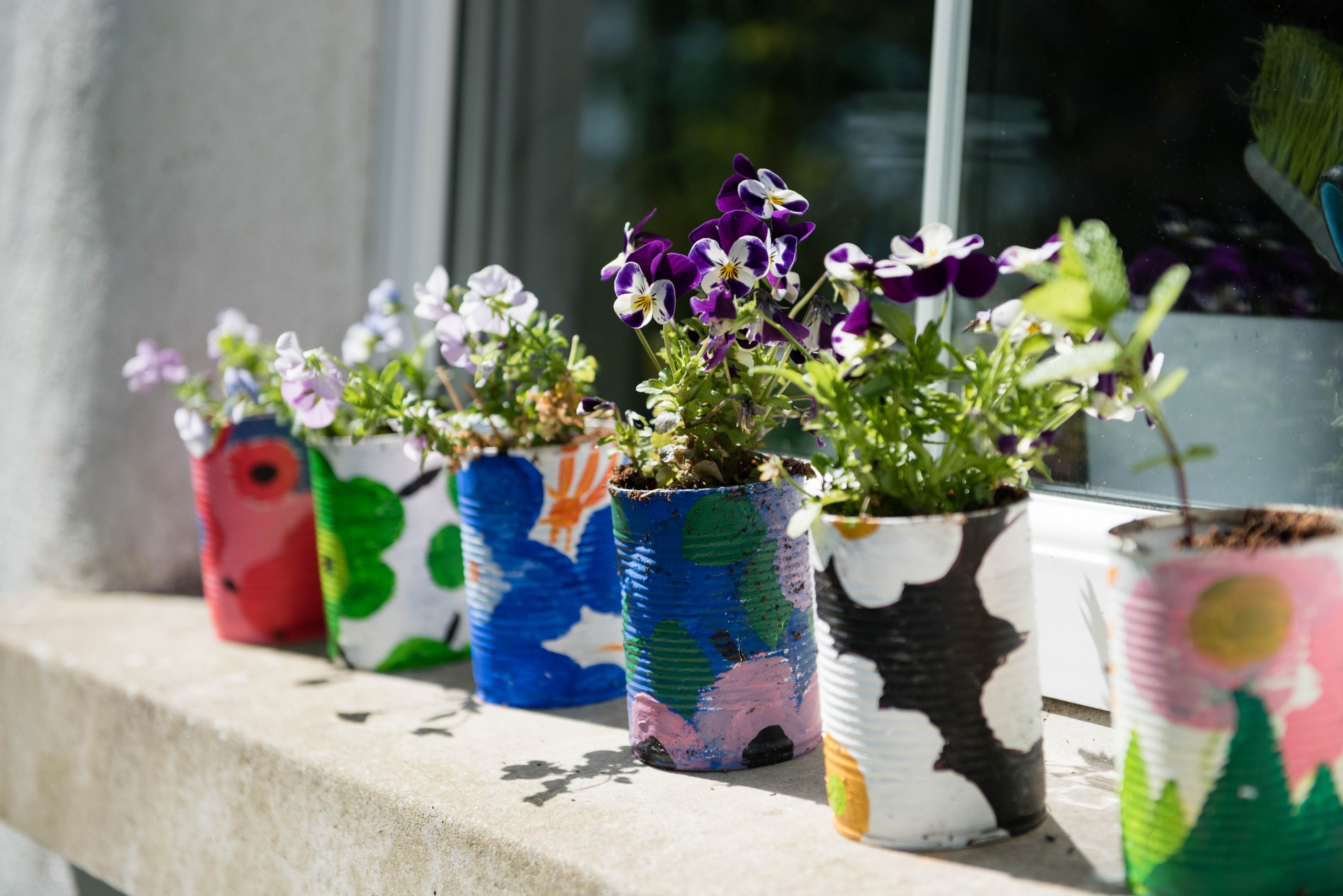 planters made from upcycled tin cans