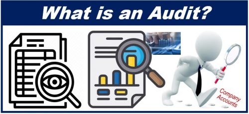 Accounting audits - 99399