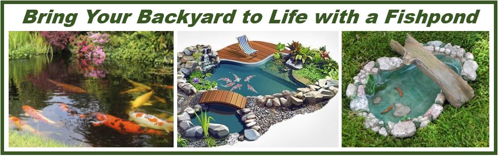 Bring your backyard to life with a fishpond