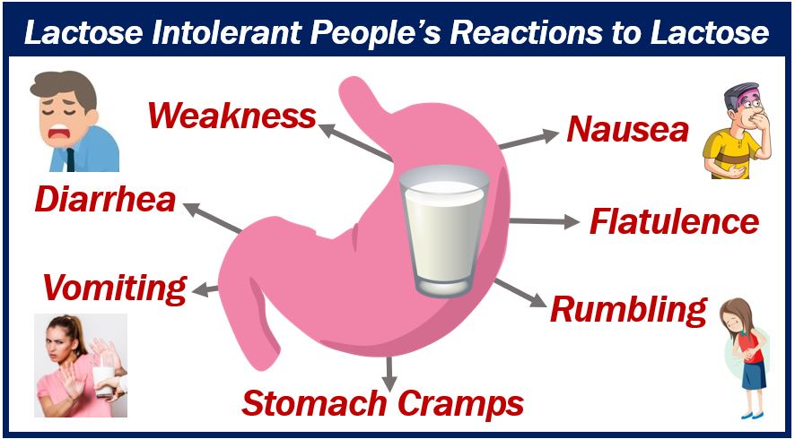 Facts About Lactose Intolerance - 439398398