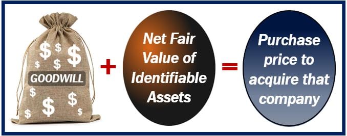 desconhecido-deliberadamente-aprofundar-goodwill-balance-sheet-ndia