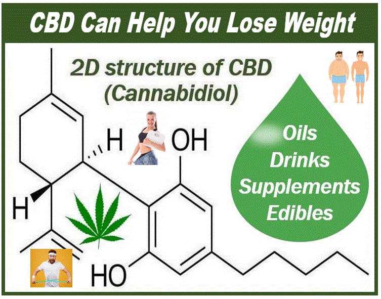 How to overcome obesity with CBD Oil - 493989389