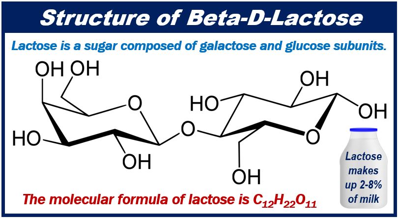 Lactose - article about lactose intolerance - image 498398498948