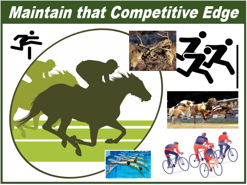 Maintain that competitive edge - image 09489380938