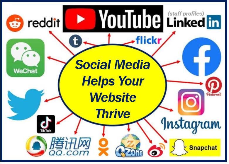 Social Media Helps Your Website Thrive