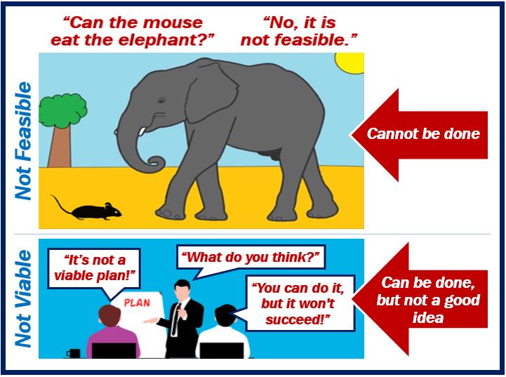 Viable vs feasible - image 498398948