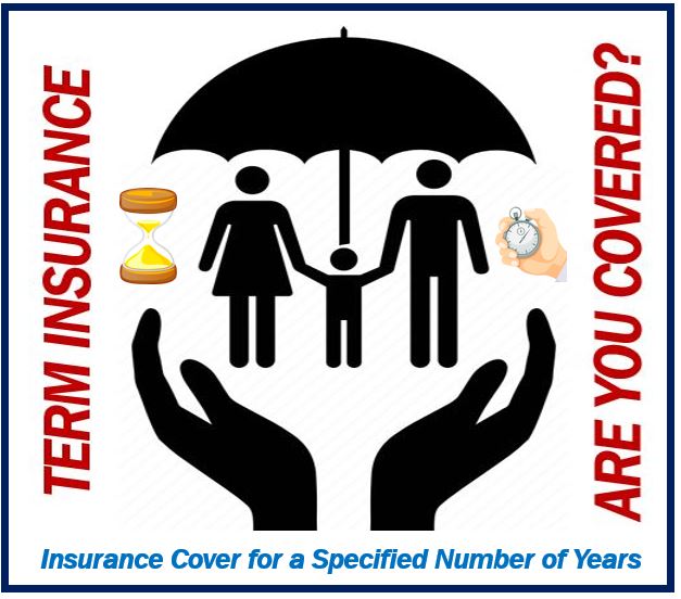 Term Insurance - 938938938