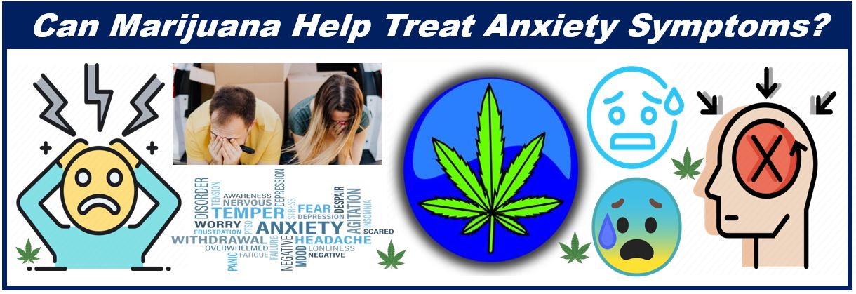 Treating Anxiety With Marijuana - 44440