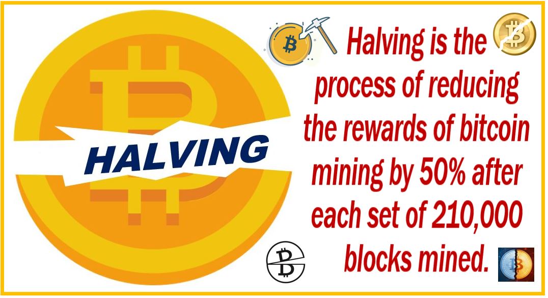 What is Bitcoin Halving - 242424242