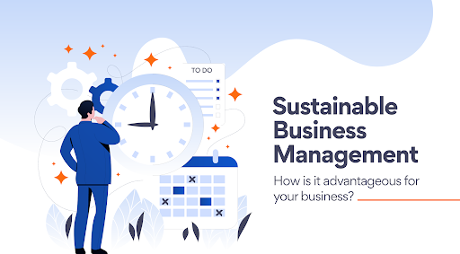 phd in sustainable business management