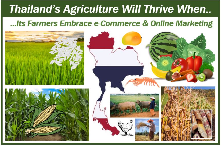 agricultural-products-and-their-online-marketing-in-thailand