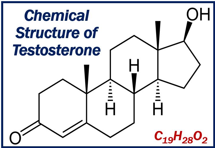 Image showing the chemical structure of testosterone - article about how to Increase Testosterone Levels