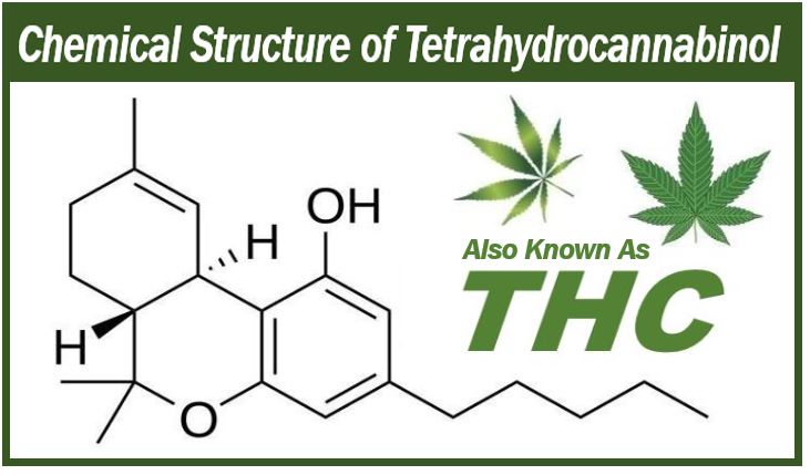 Image with chemical structure of THC