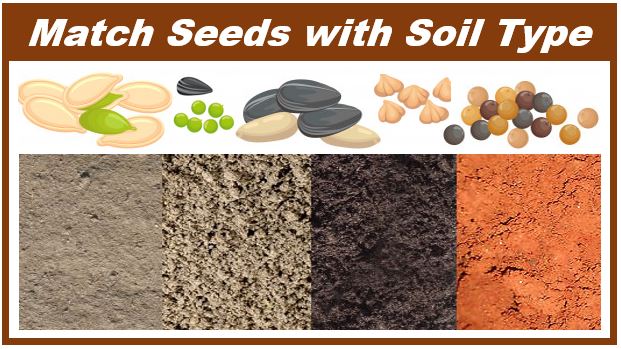 Match seeds with soil type - image for article