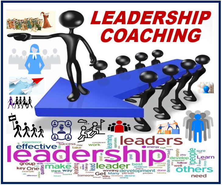 how-to-choose-the-best-leadership-coach-to-hone-your-skills