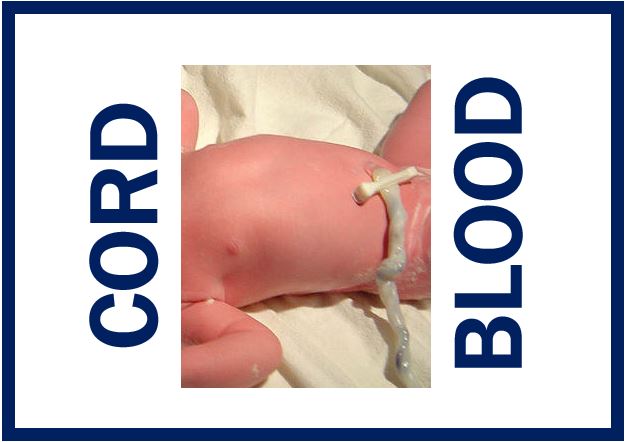 Thumbnail - Cord Blood Banking