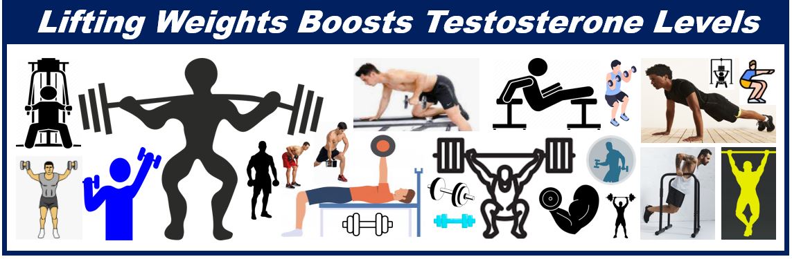 Weight training helps boost testoterone levels - 3989389383