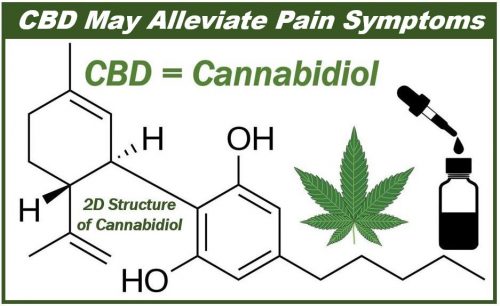 best CBD oil for pain - CBD pain