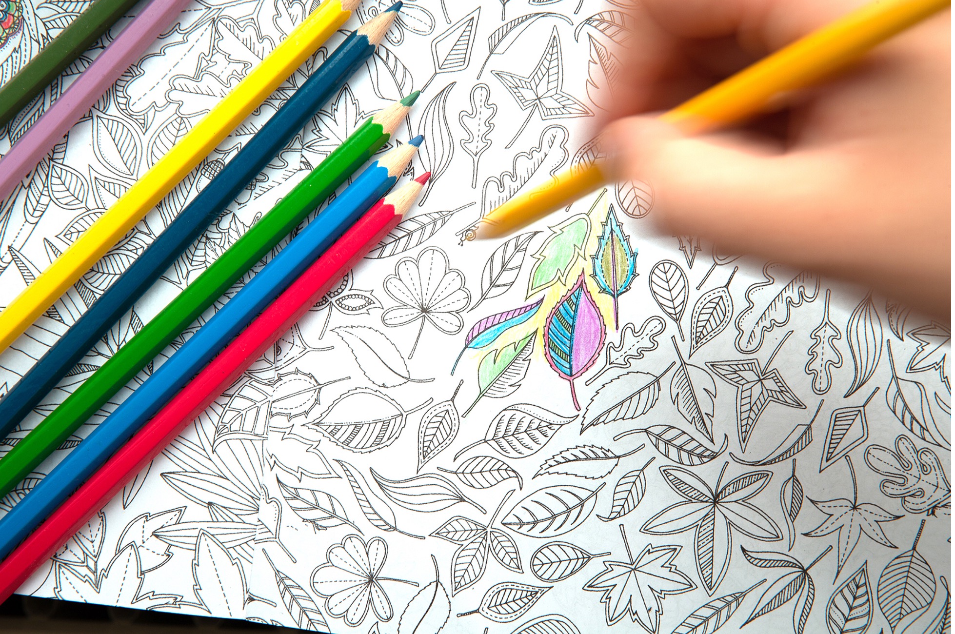 Why Entrepreneurs and Celebrities Love Coloring Books