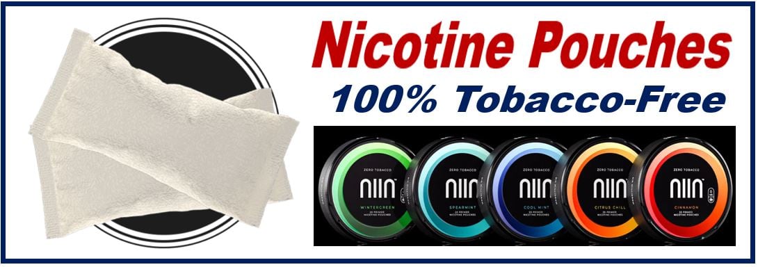 tobacco-free synthetic nicotine pouches - 9876