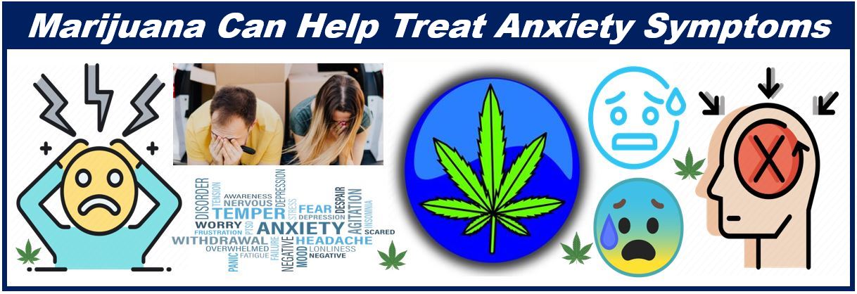 Marijuana can help treat anxiety symptoms - cannabis