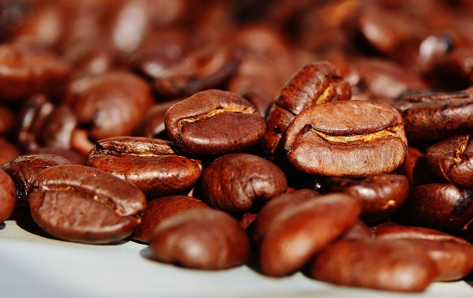 Roasting Beans Perfectly Essential for Your Business