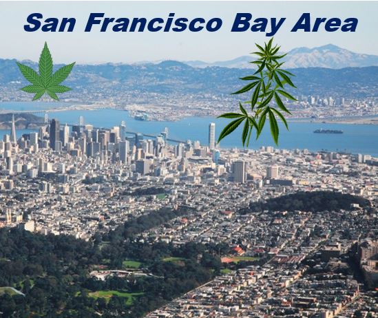 Bay Area Cannabis Overview - Market Business News