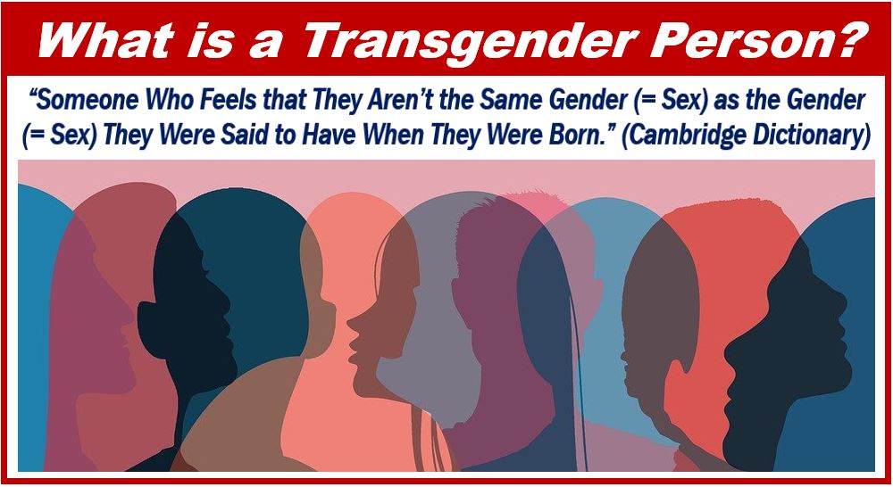 Effects of Transition on Transgender People - image for article 4993992