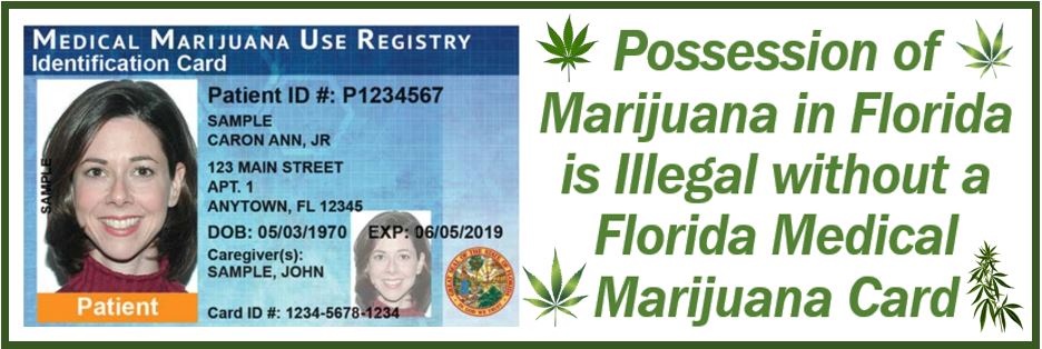 Florida Medical Marijuana Card - 34983983983