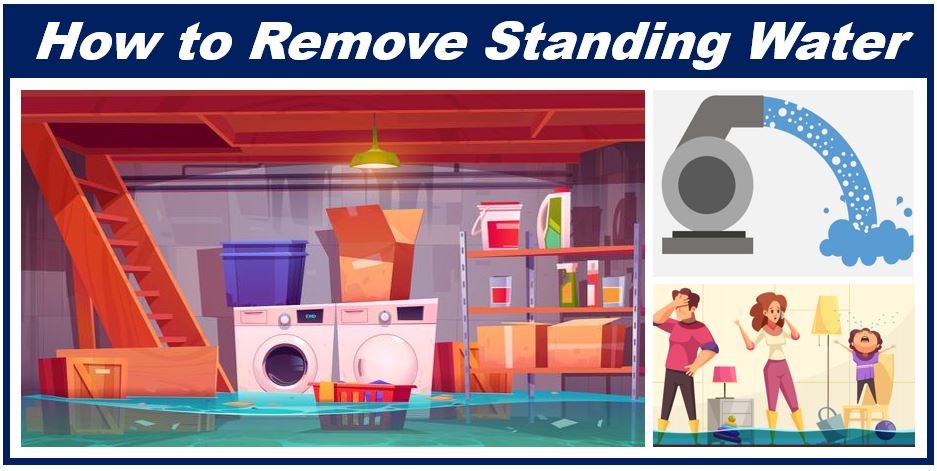 Remove standing water in your home
