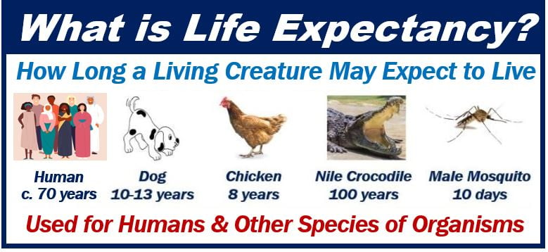 What is Life expectance - image for article 0022