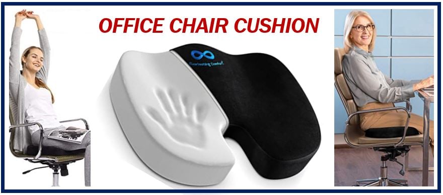 Office Chair Cushion - 39893898398