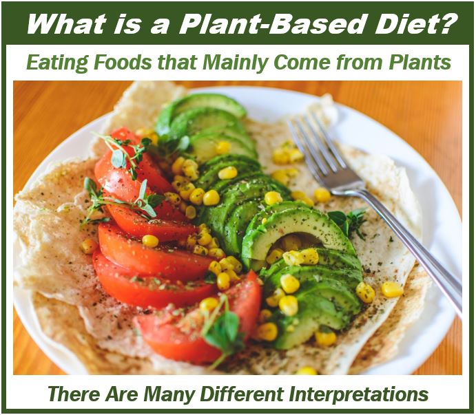 What is a Plant-Based Diet - 3984398948