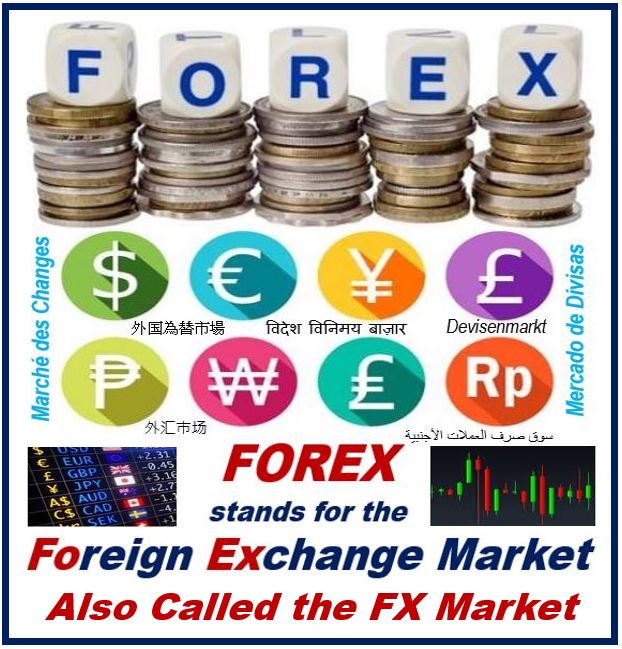 Effectively Forecast FX Market Trends - Forex
