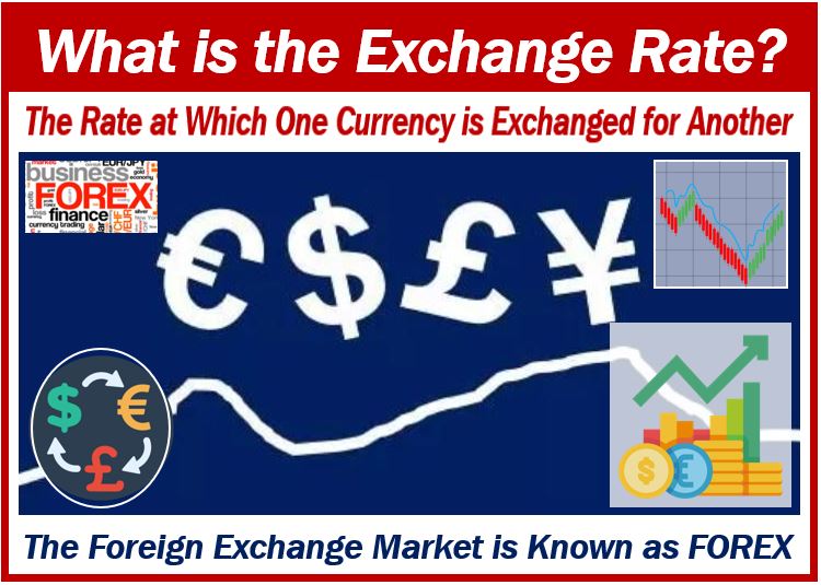 Exchange rates and their role in the economy - What is the exchange rate