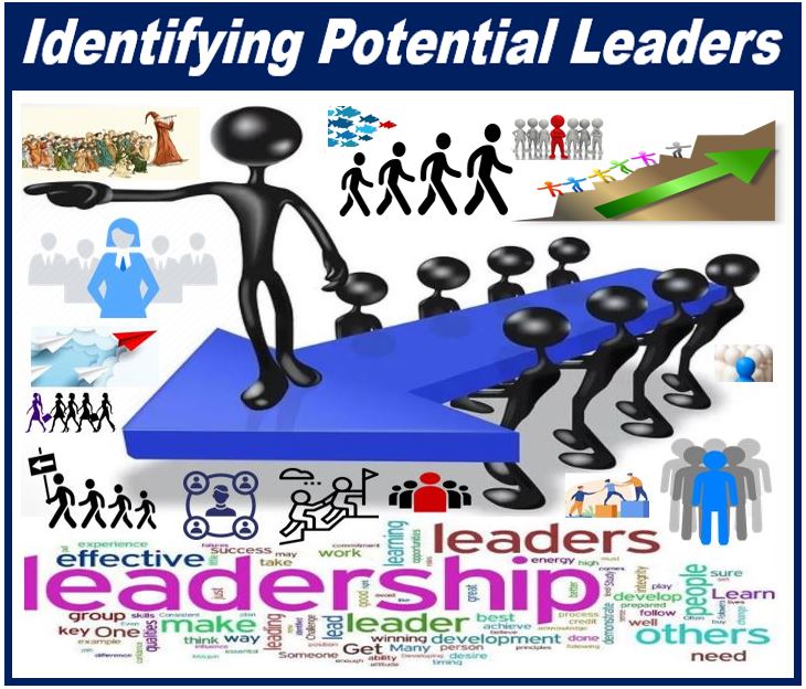 Finding and Optimizing the Right Leaders - image for article 4593959