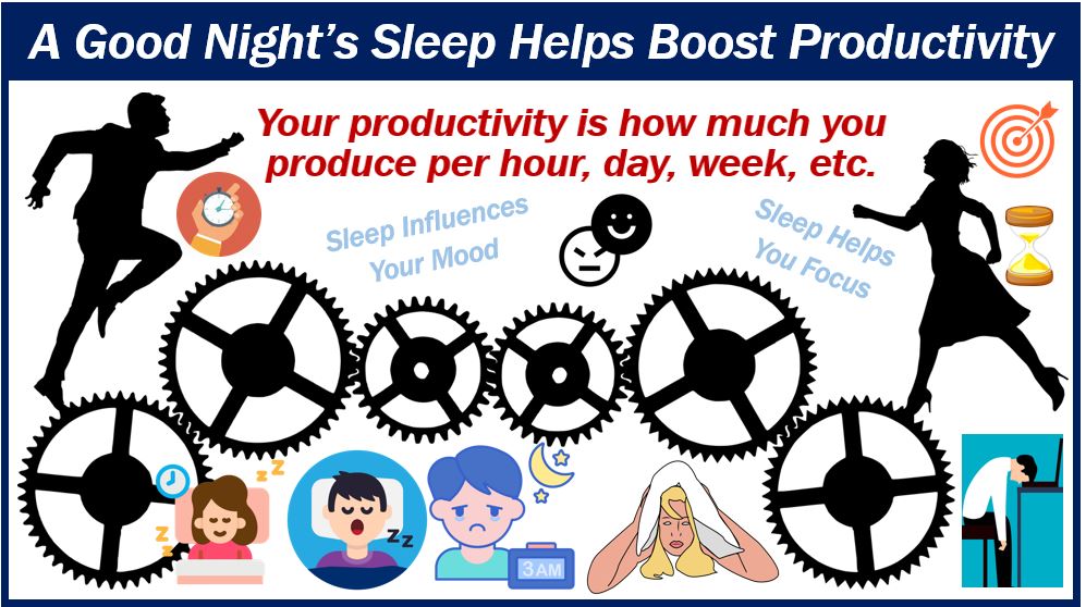 Science of Sleep and Workplace Productivity 444