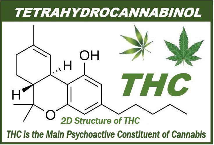 THC edibles - Tetrahydrocannabinol