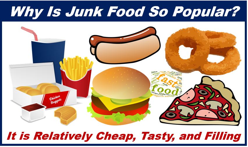 Why We Love to Eat Junk Food