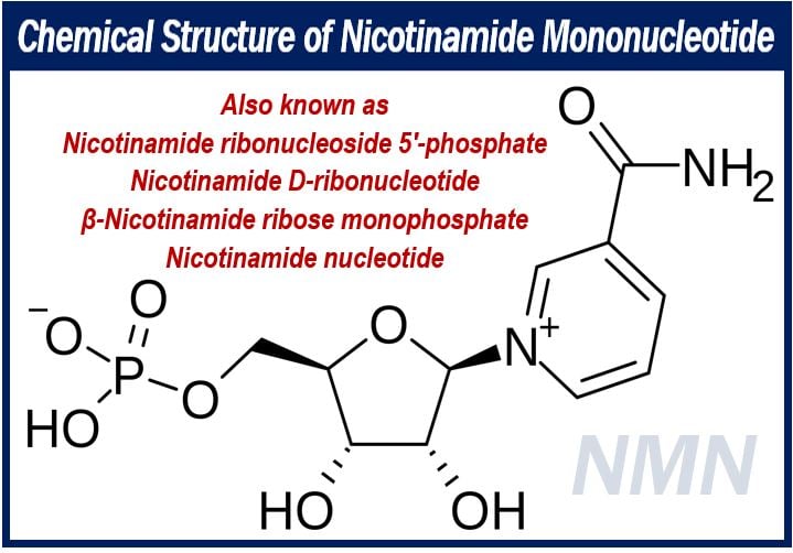 Chemical Stucture of NMN or Nicotinamide Mononucleotide - Primary Types of NMN Supplements 