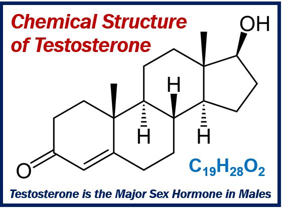 Low Testosterone - 6 Unexpected Signs of Low T