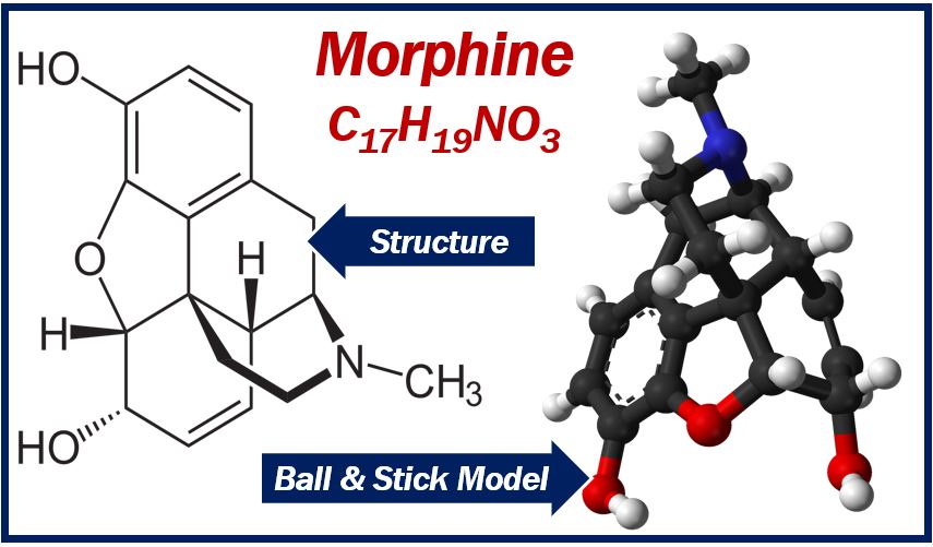 Morphine - structure and ball and stick model of molecule
