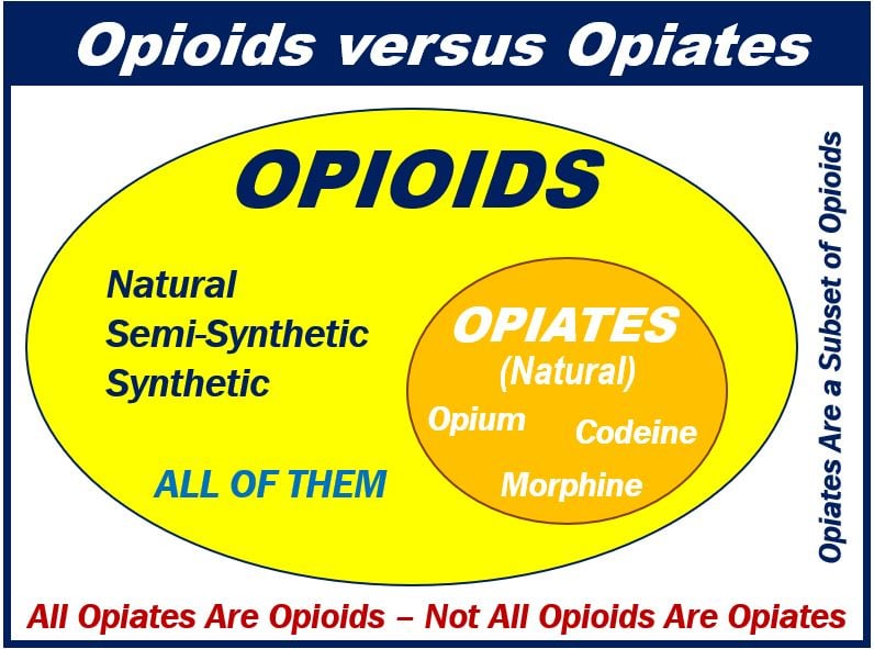 Opiates vs. Opioids - image for article
