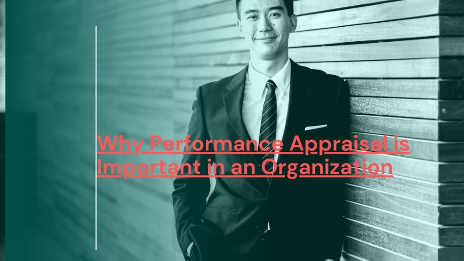 performance-management-vs-performance-appraisal-the-difference