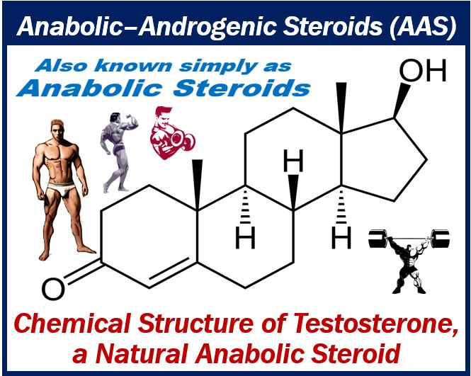 Anabolic-Androgenic Steroids - AAS - Anabolic Steroids - buying steroids online